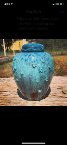 Small Lidded jar/ Urn