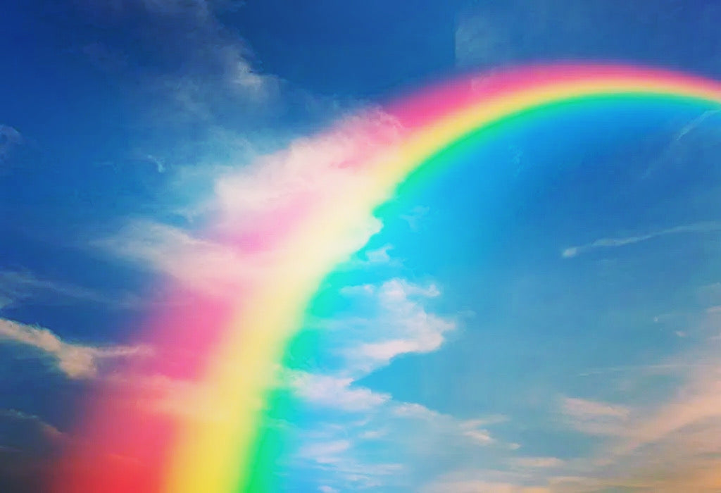Over the Rainbow Donation
